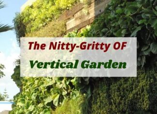 Vertical Garden