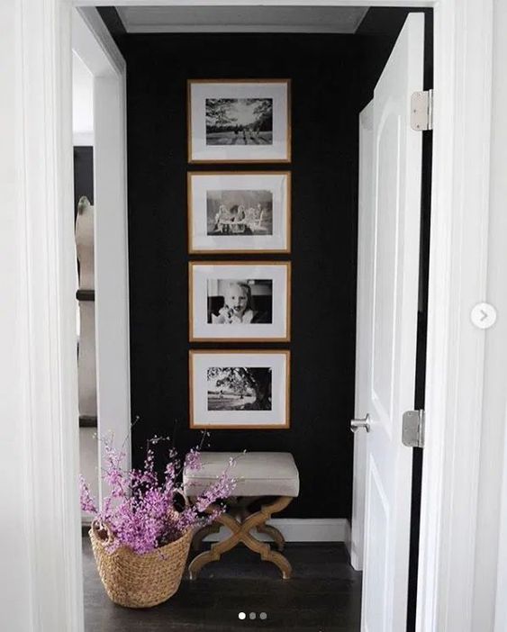 White and Black Living Room Ideas - White and Black Living Room Remodel Inspiration