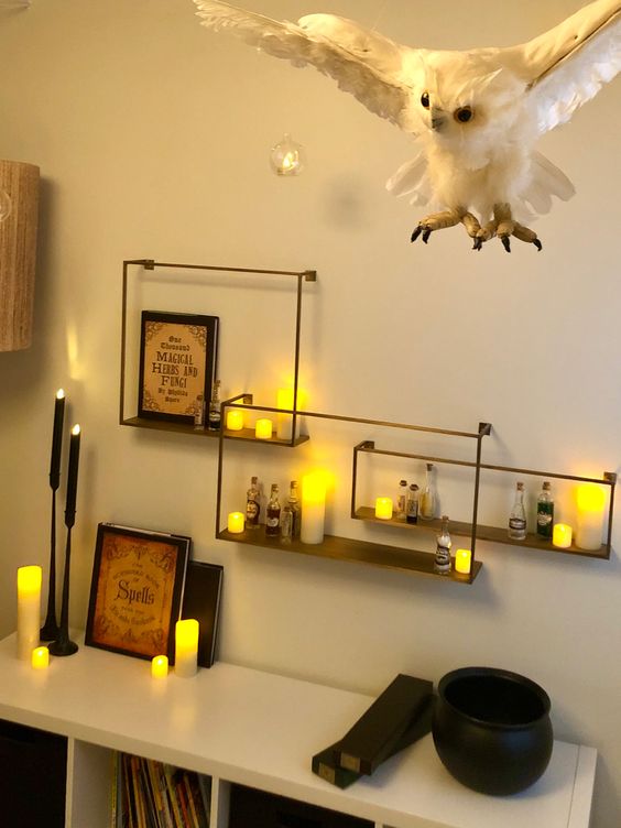 Harry Potter Decor for Adults - Harry Potter Home Decor Ideas